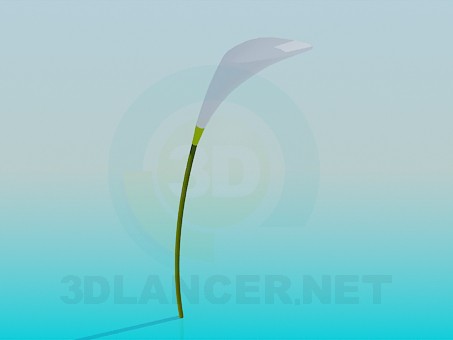 3d model Kala Flower - preview