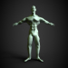 Modelo 3d Humana - preview