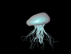 jellyfish