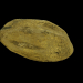 3d model A rock - preview